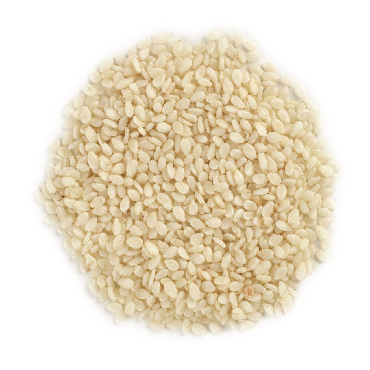 Og2 fc sesame sessd hld ( 1 x 16 oz   )