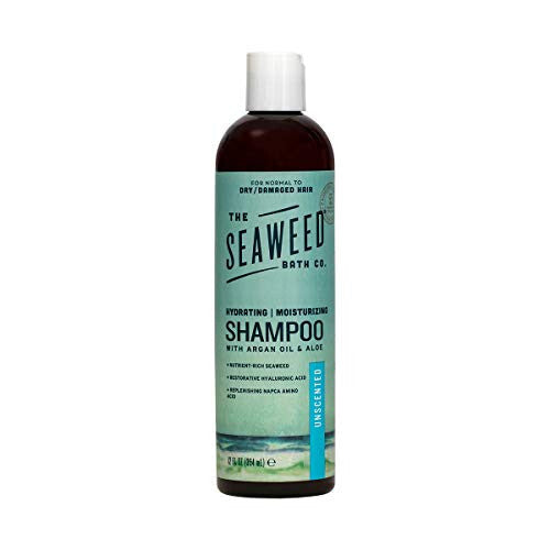 SBC SHAMP MOIST UNSCNT ( 1 X 12 OZ   )